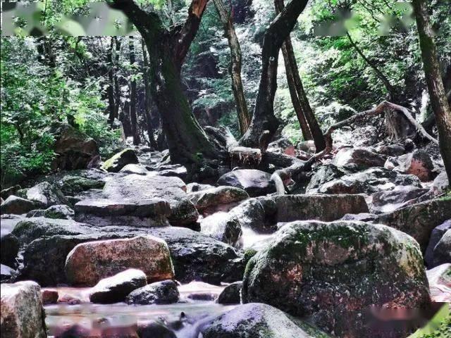 第五期海南自贸港“非公有制经济大讲堂”在我市举办